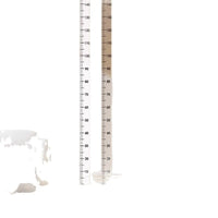 2m Wall Height Measurement Chart