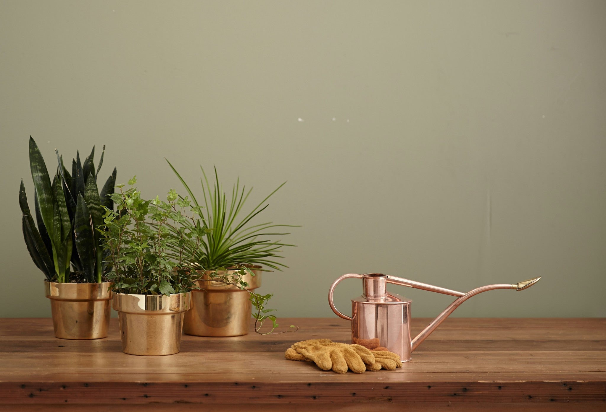 INDOOR & OUTDOOR DECOR